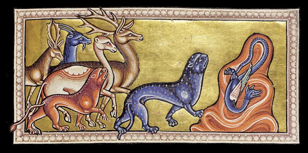 Detail from the Aberdeen Bestiary: animals drawn toward the panther while the dragon recoils, on a gold ground.